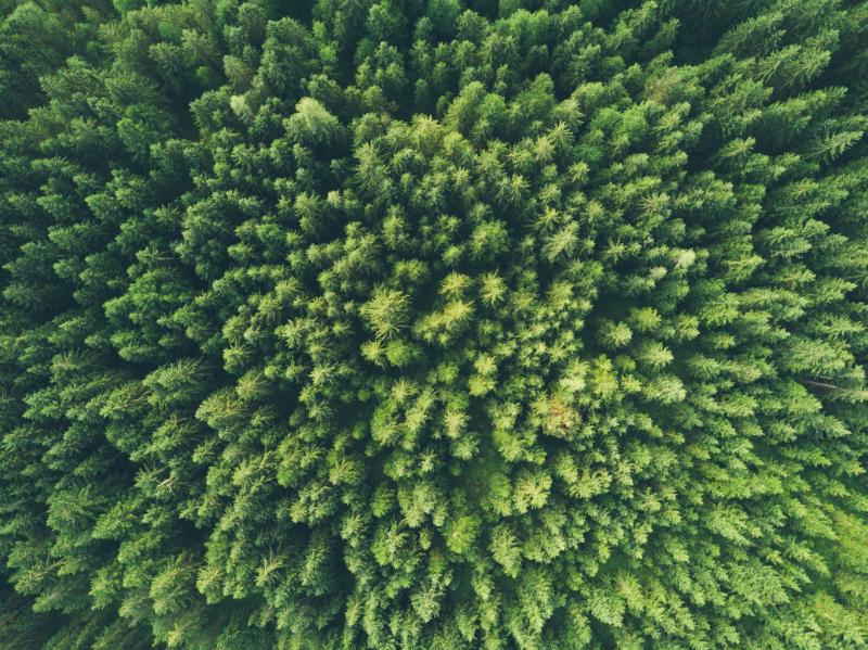 A importância da bacia de contenção de óleo: Como proteger o meio ambiente e evitar desastres ambientais.