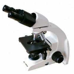 Microscópio binocular